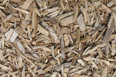 biomass boilers Torfaen